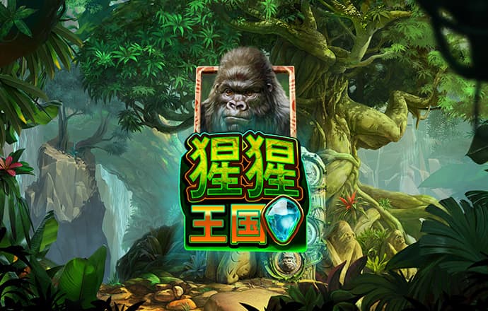 澳门宝典2986.cc